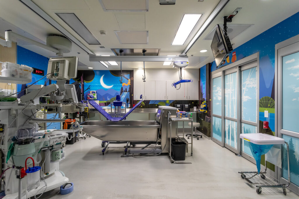 Bathing Unit in BC Children's Hospital with colourful digitally printed mural.